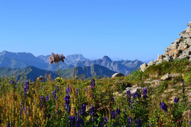 Fantasisches Ifenpanorama