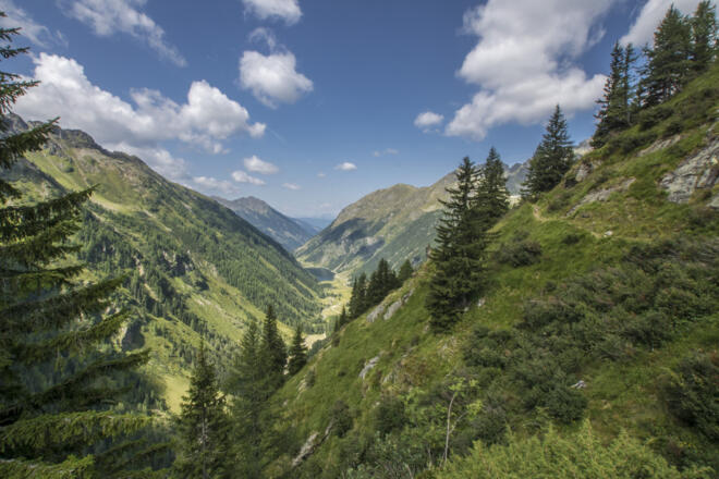 Blick vom Höfertsteig auf den Riesachsee