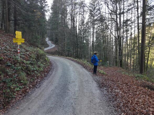 Abkürzung gefällig? Rechts halten...