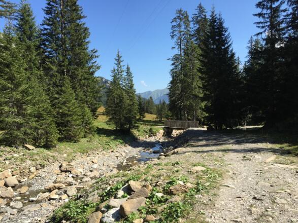 Am Schwarzwasserbach entlang zur Melköde