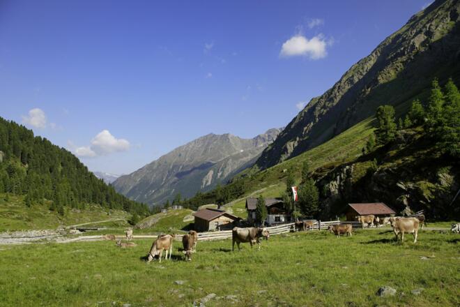 Sulztalalm2 - Sommer