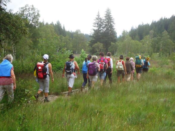 Durch das Wasenmoos in Mittersill