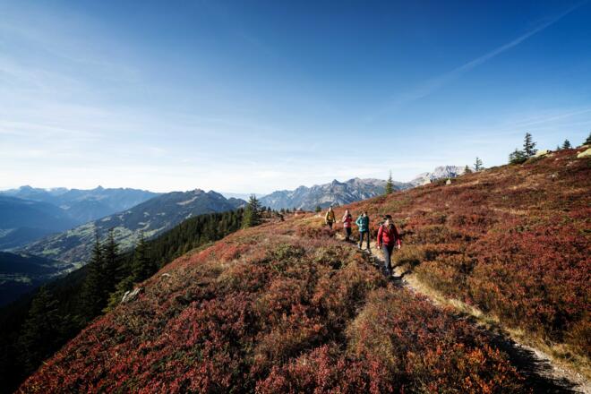 Herbstwanderung zum Muttjöchle