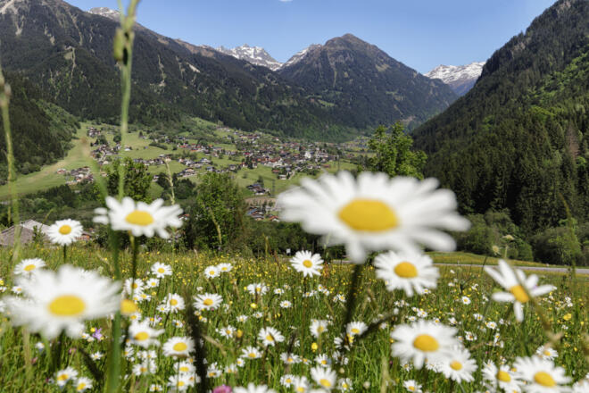 St. Gallenkirch-Gortipohl
