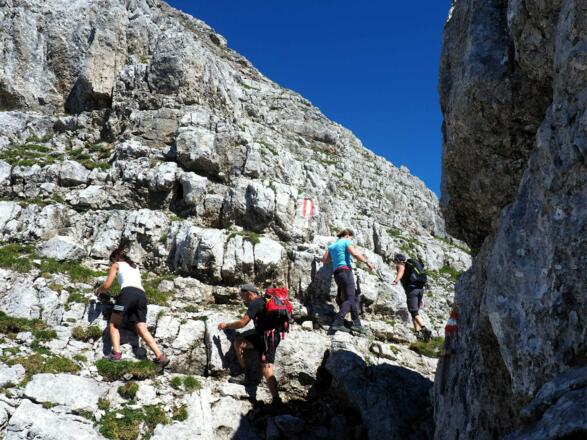 Scharterl 2195m am SO-Grat