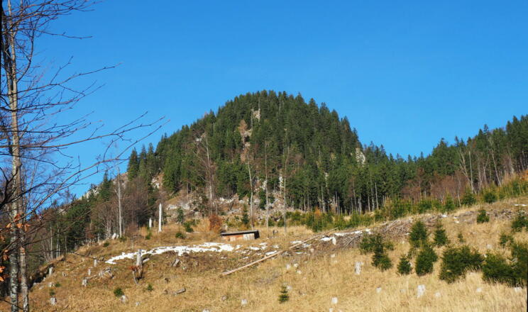 Gipfel mit Jagdh. in Sicht 1065m
