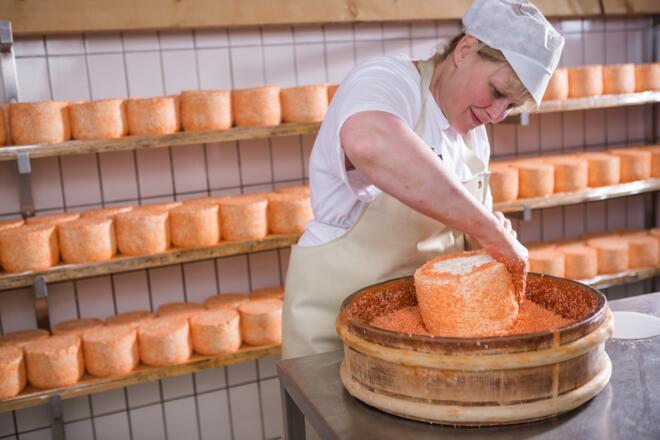 Sura Kees Produktion auf der Alp Nova