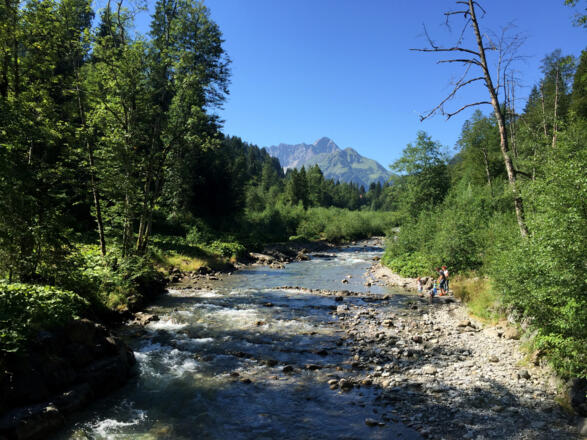 Blick über die Breiach