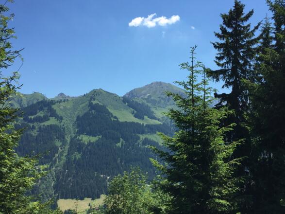 Kanzelwand, Kuhgehren und Hammerspitze