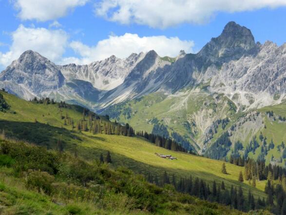 Blick auf Alpe Platzis mit Saulakopf und Zimba