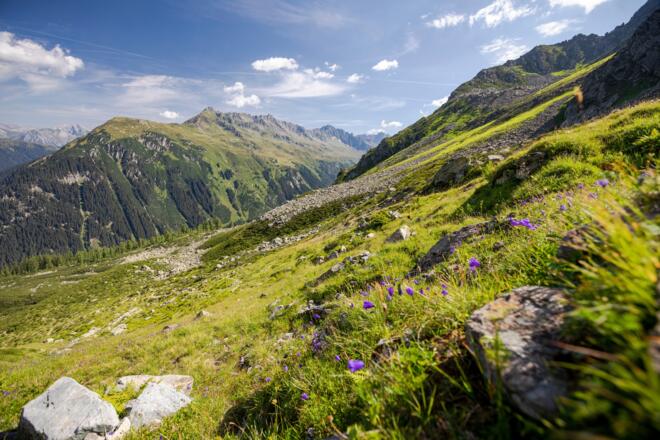 Blick zum Fellimännle und Lobspitze