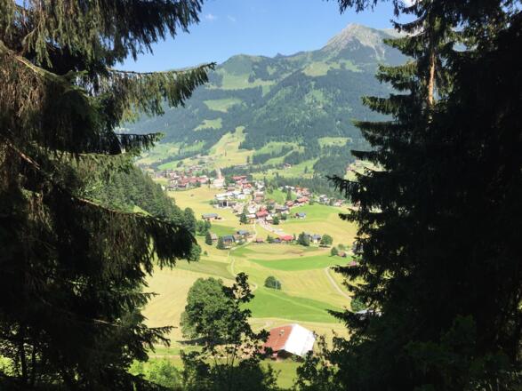 Blick auf Mittelberg