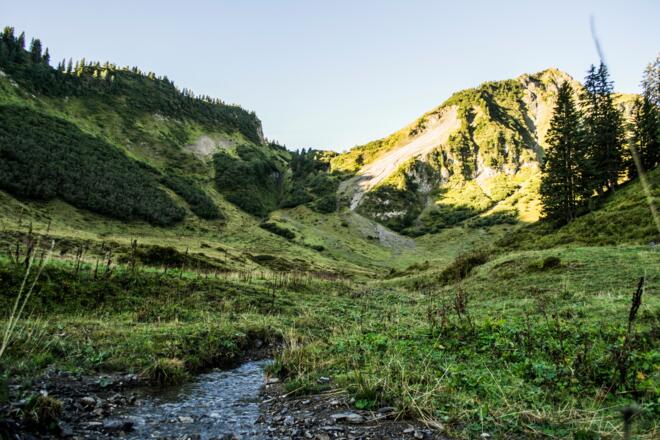 Walmendingerhorn von der Walmendinger Alpe aus