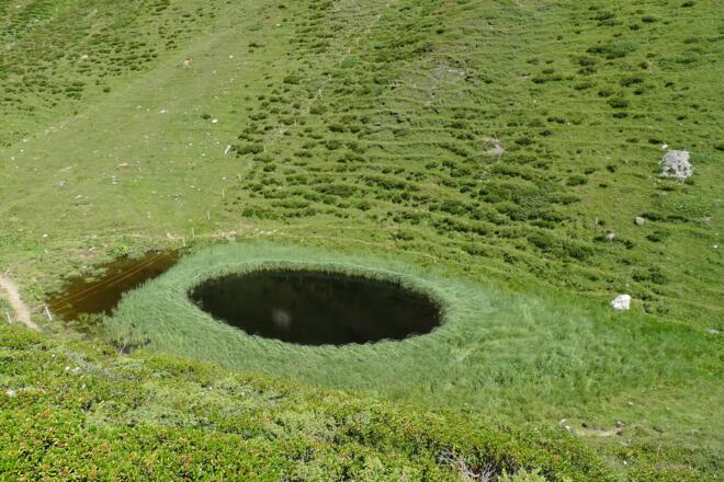 Das &quot;Pfauenauge&quot;