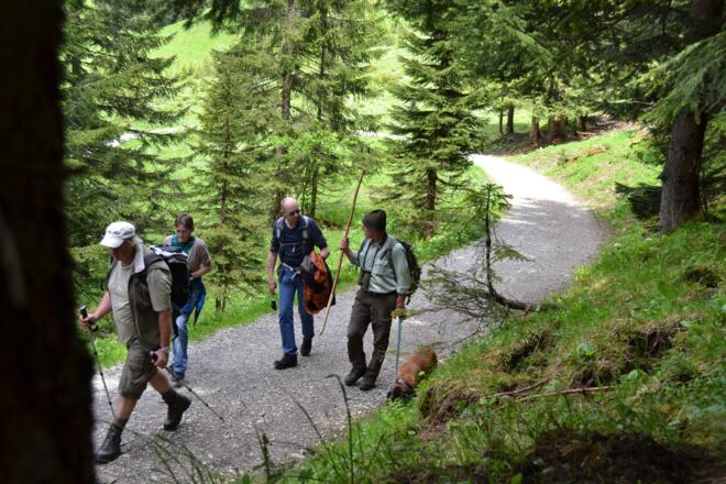 Auf dem Weg ins Bärgunttal