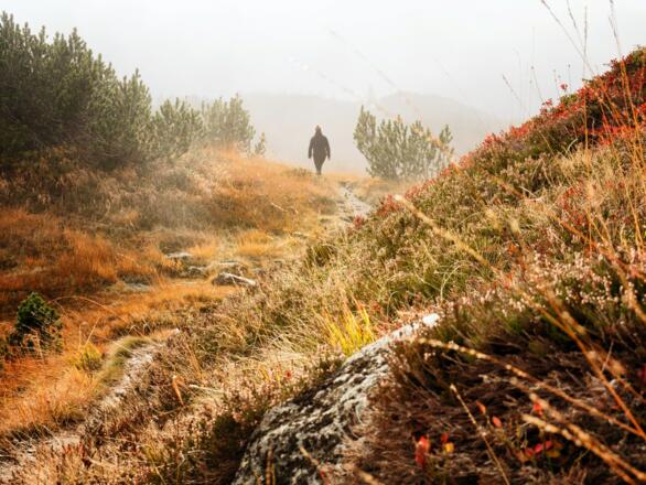 Auf dem Weg durch das Europaschutzgebiet Wiegensee Richtung Verbellaalpe