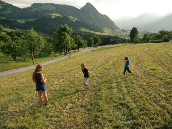Kinder im Feld am Pinzgerhof