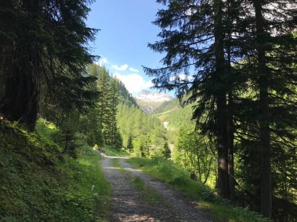 Fahrweg ins Alperschontal Richtung Ansbacher Hütte