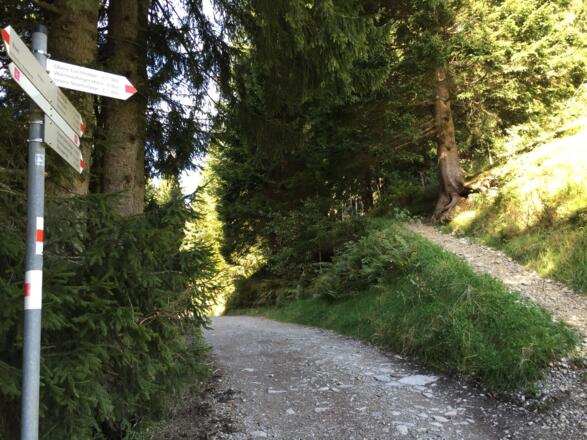 Abzweigung rechts zur Oberen Lüchlealpe