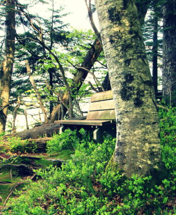 Bank auf dem Känzele