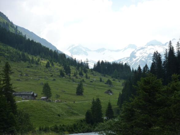 Blick ins Obersulzbachtal