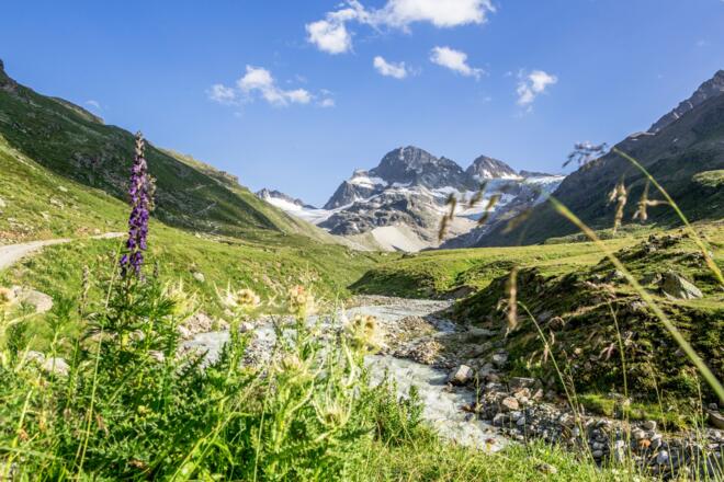 Wanderweg zur Wiesbadener Hütte