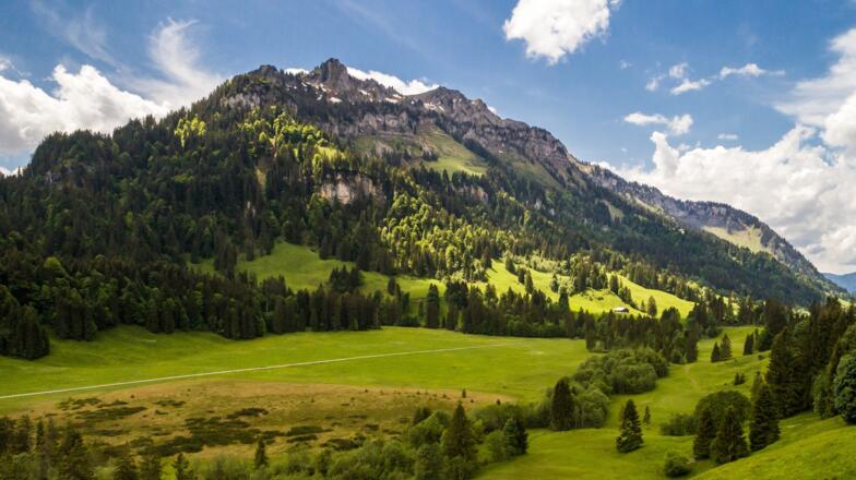 Schönenbach im Bregenzerwald