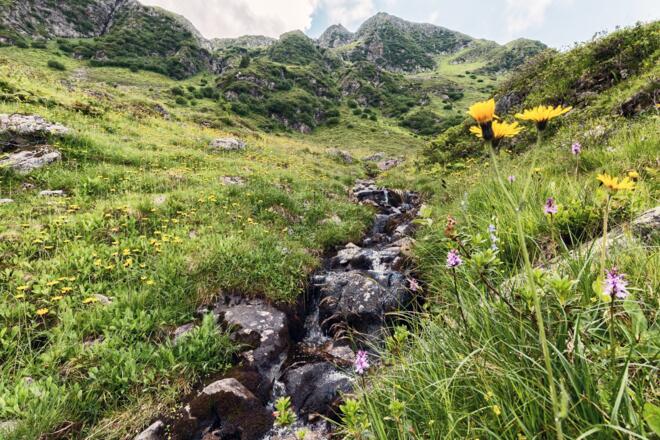 Gebiet um die Innerkapellalpe