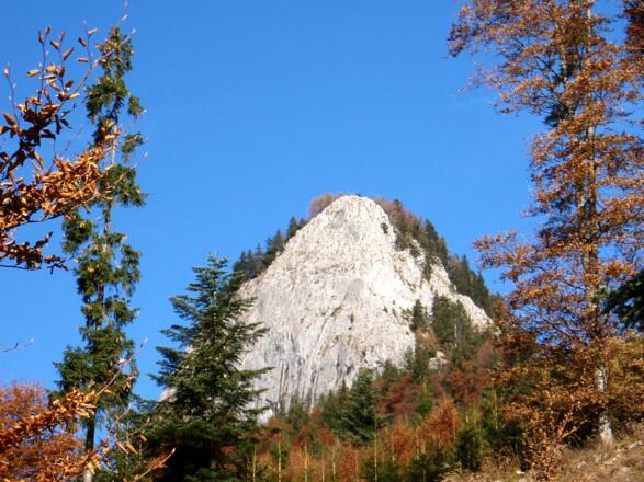 Sommeraustein 1275 m beim Almzustieg