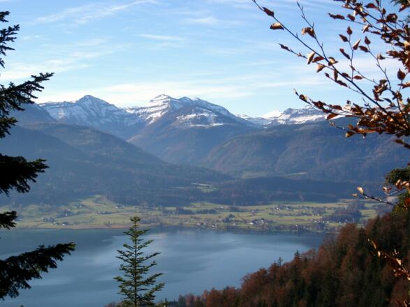 Blick zum Wolfgangsee