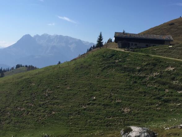 Auf dem Almenlehrpfad