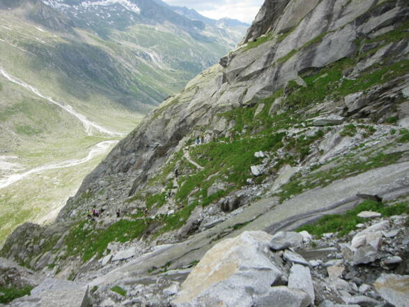 ... wechseln mit Wiesengelände ...