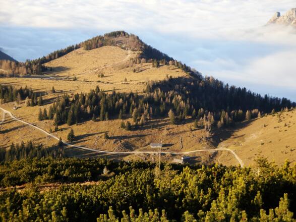 Die Leonsbergalm vom Gipfel des Leonsberges gesehen. Dahinter liegt der Attersee unter einer Nebeldecke.