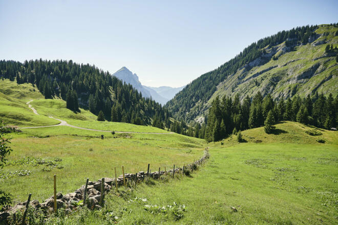 Auf dem Stogger Sattel