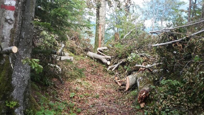 Nach einem Sturm im Jahre 2016 musste der Weg beim Abstieg mühsam freigelegt werden.