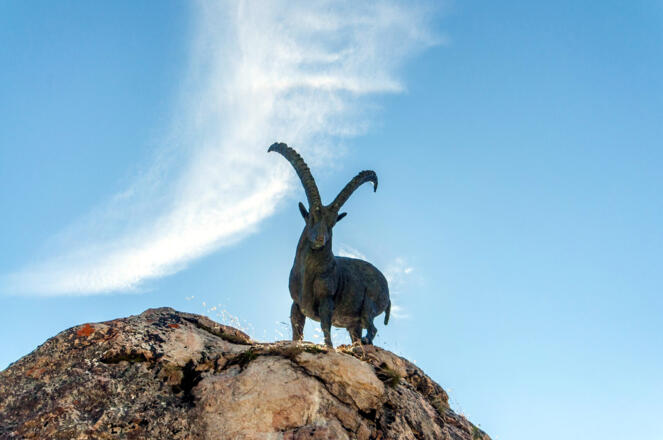 Steinbock
