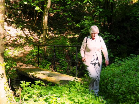 Brücke Katzbach 325m