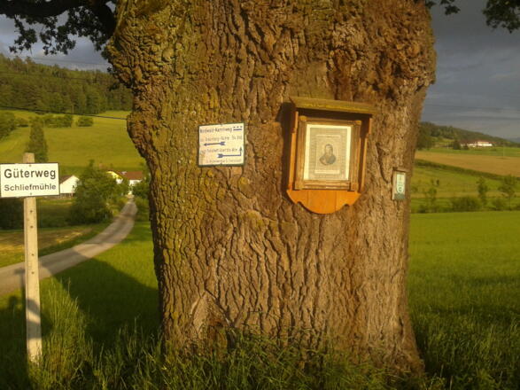 Schliefmühle am Nordwaldkammweg Ia