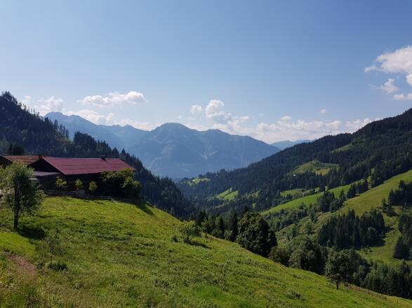 Blick in Richtung St. Veit