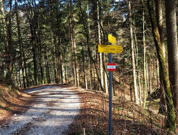 Forststr. erreicht 600m, links weiter.