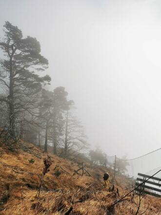 Kurz vor dem &quot;Bödele&quot;