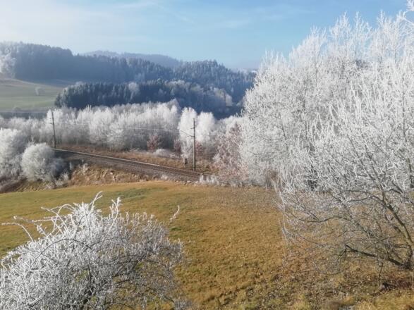 Summerauerbahnquerung bei Waldburg