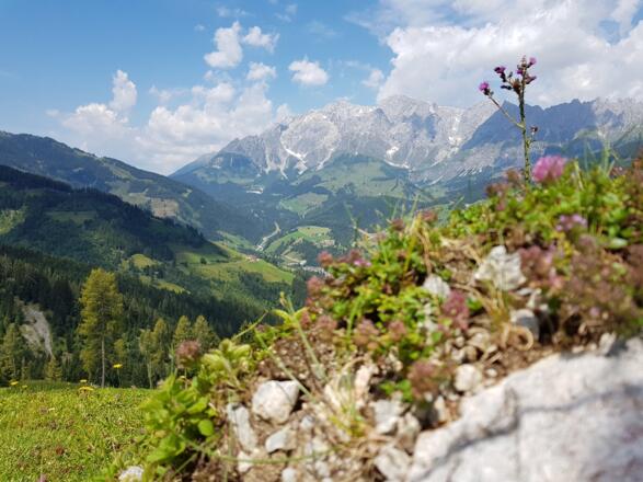 Blick auf den Hochkönig