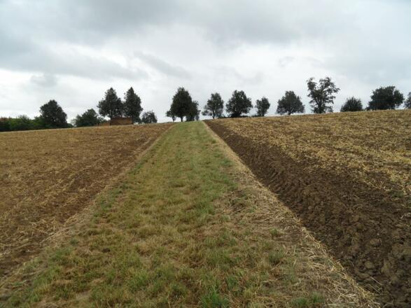 Agrarflächen auf dem Weg nach St. Florian