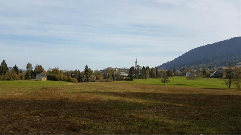 Blick vom Schollomoos auf die Kirche Alberschwende