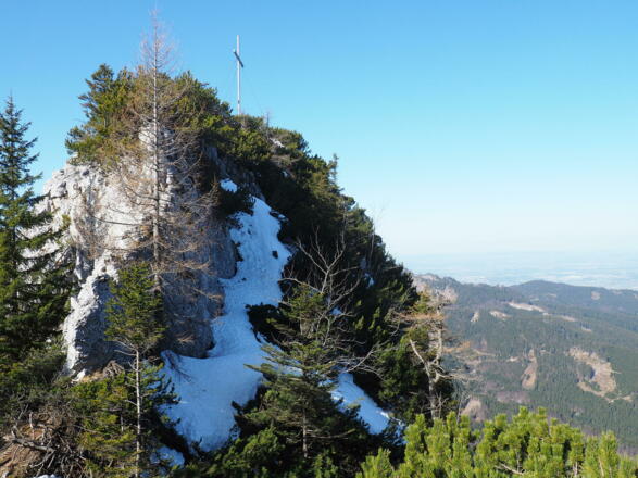 Zwillingskogel 1402m