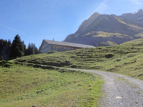 Fellealpe vom Fahrweg aus
