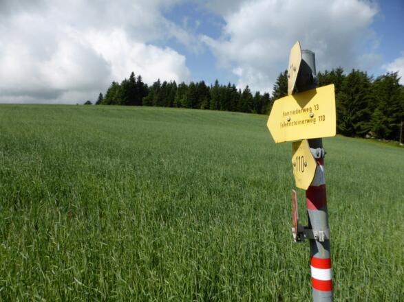 Strawanzen durch Wiesen und Wälder