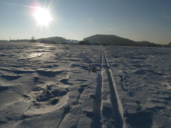 Witzelsberg, hinten Braunberg