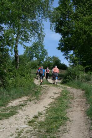 Anstieg vor Sankt Thomas am Blasenstein